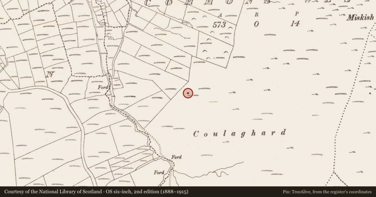 Ordnance Survey six-inch map, 2nd edition (1888–1915) covering the location of Field boundary, Commons West, County Cork, with a pin at the register's coordinates