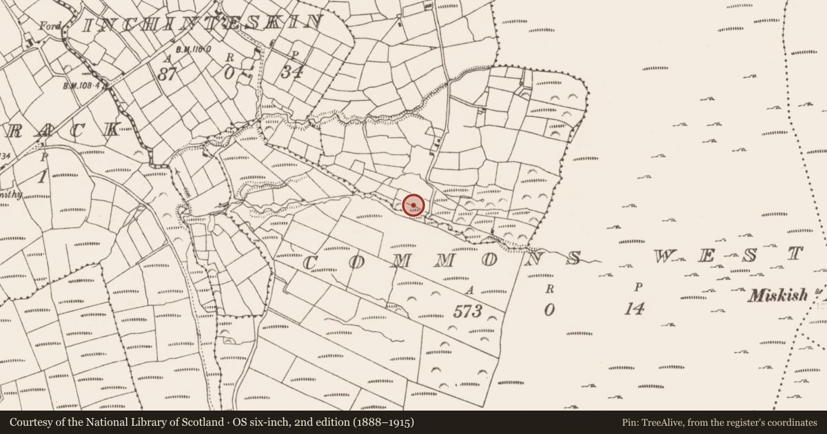 Ordnance Survey six-inch map, 2nd edition (1888–1915) covering the location of Souterrain, Coulagh, County Cork, with a pin at the register's coordinates