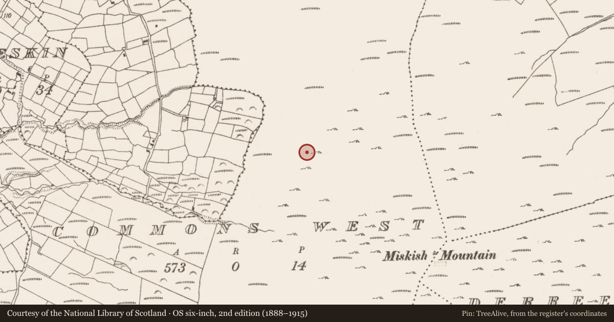 Ordnance Survey six-inch map, 2nd edition (1888–1915) covering the location of Enclosure, Commons West, County Cork, with a pin at the register's coordinates
