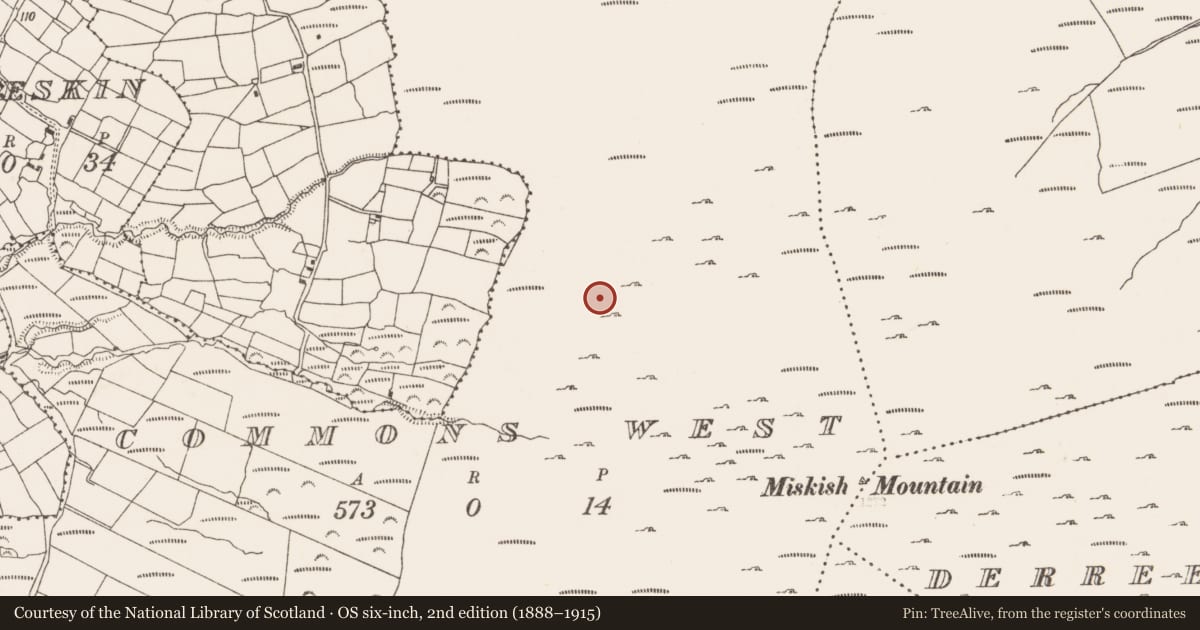Ordnance Survey six-inch map, 2nd edition (1888–1915) covering the location of Hut site, Commons West, County Cork, with a pin at the register's coordinates