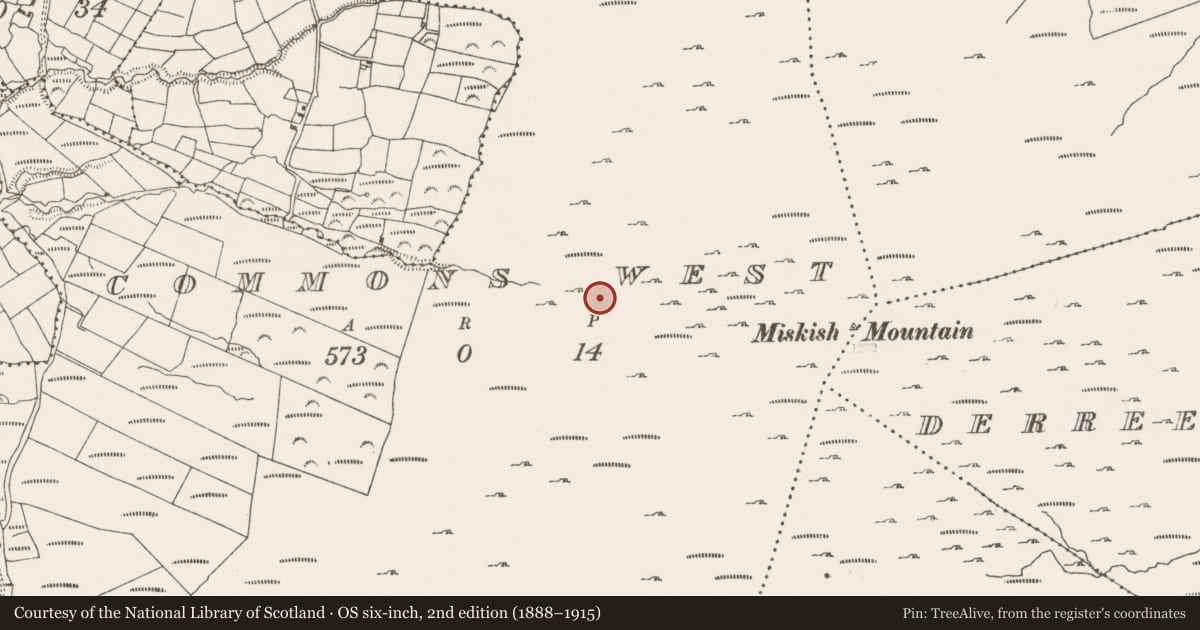 Ordnance Survey six-inch map, 2nd edition (1888–1915) covering the location of Hut site, Commons West, County Cork, with a pin at the register's coordinates