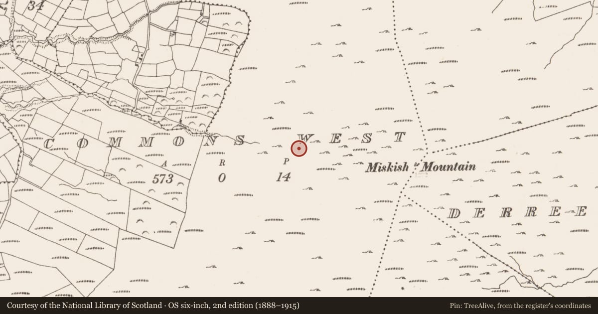 Ordnance Survey six-inch map, 2nd edition (1888–1915) covering the location of Hut site, Commons West, County Cork, with a pin at the register's coordinates