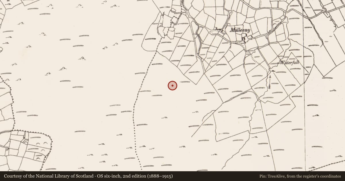 Ordnance Survey six-inch map, 2nd edition (1888–1915) covering the location of Standing stone, Inches, County Cork, with a pin at the register's coordinates