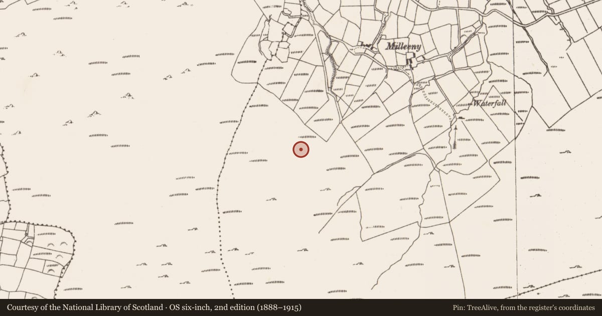 Ordnance Survey six-inch map, 2nd edition (1888–1915) covering the location of Hut site, Inches, County Cork, with a pin at the register's coordinates