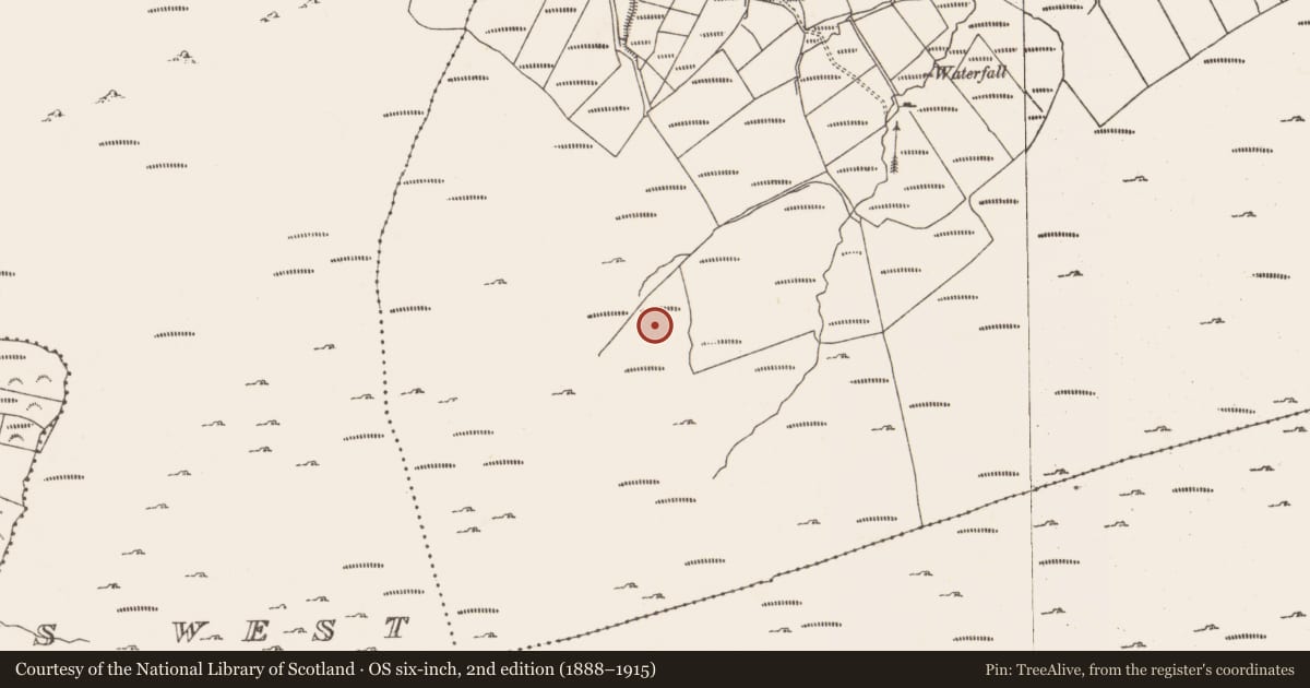 Ordnance Survey six-inch map, 2nd edition (1888–1915) covering the location of Road - road/trackway, Inches, County Cork, with a pin at the register's coordinates