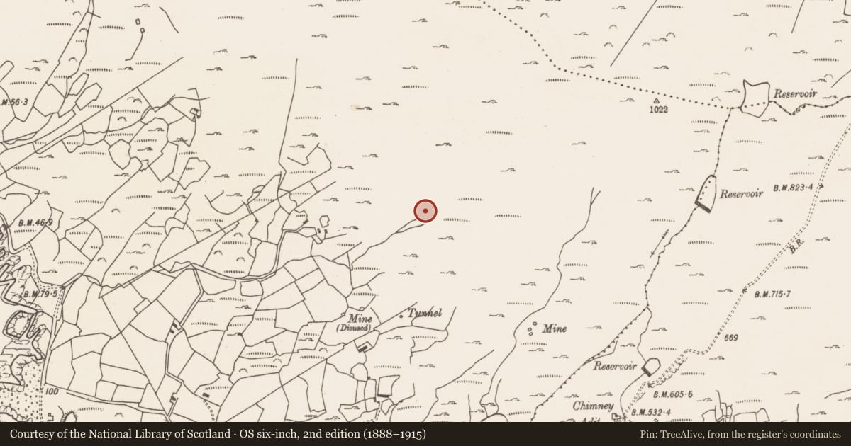 Ordnance Survey six-inch map, 2nd edition (1888–1915) covering the location of Hut site, Allihies, County Cork, with a pin at the register's coordinates
