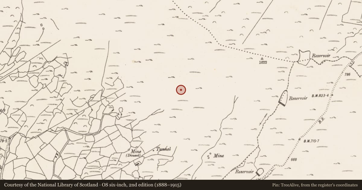 Ordnance Survey six-inch map, 2nd edition (1888–1915) covering the location of Hut site, Allihies, County Cork, with a pin at the register's coordinates