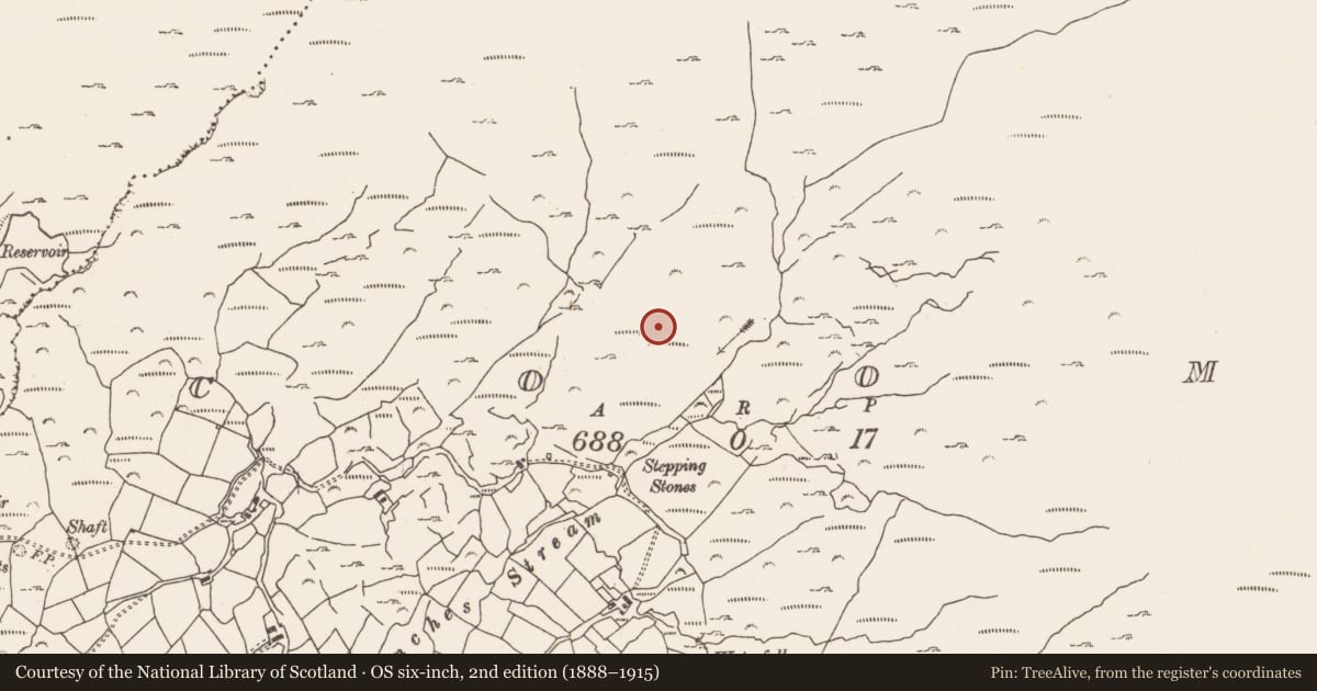 Ordnance Survey six-inch map, 2nd edition (1888–1915) covering the location of Field boundary, Coom, County Cork, with a pin at the register's coordinates