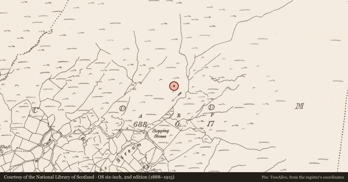 Ordnance Survey six-inch map, 2nd edition (1888–1915) covering the location of Hut site, Coom, County Cork, with a pin at the register's coordinates