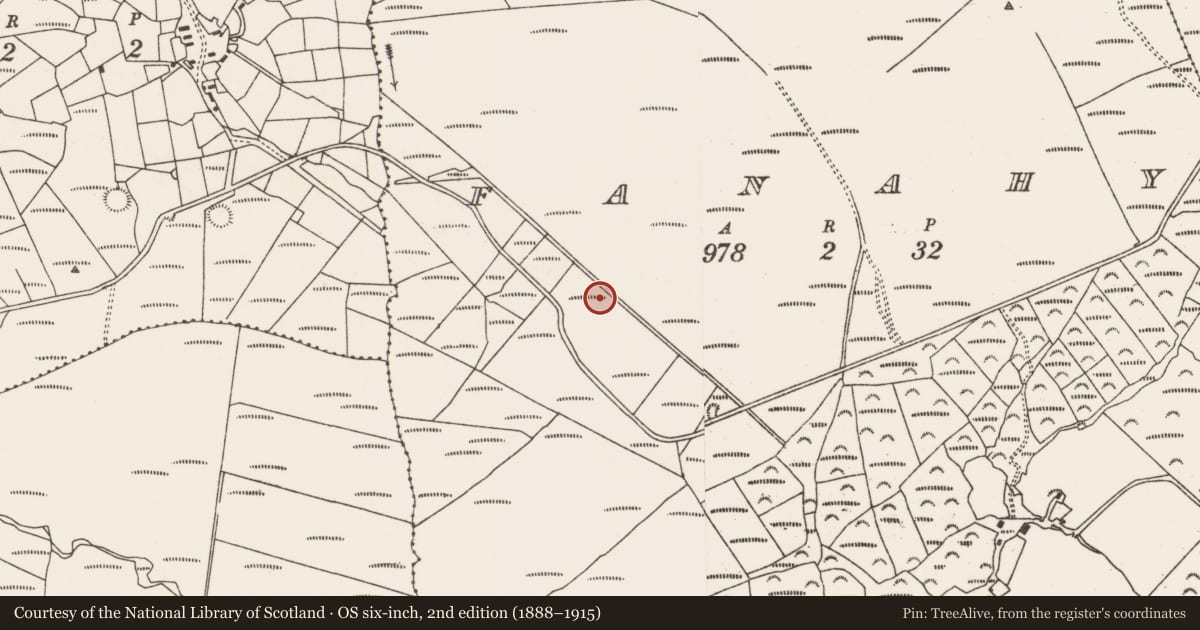 Ordnance Survey six-inch map, 2nd edition (1888–1915) covering the location of Field boundary, Fanahy, County Cork, with a pin at the register's coordinates