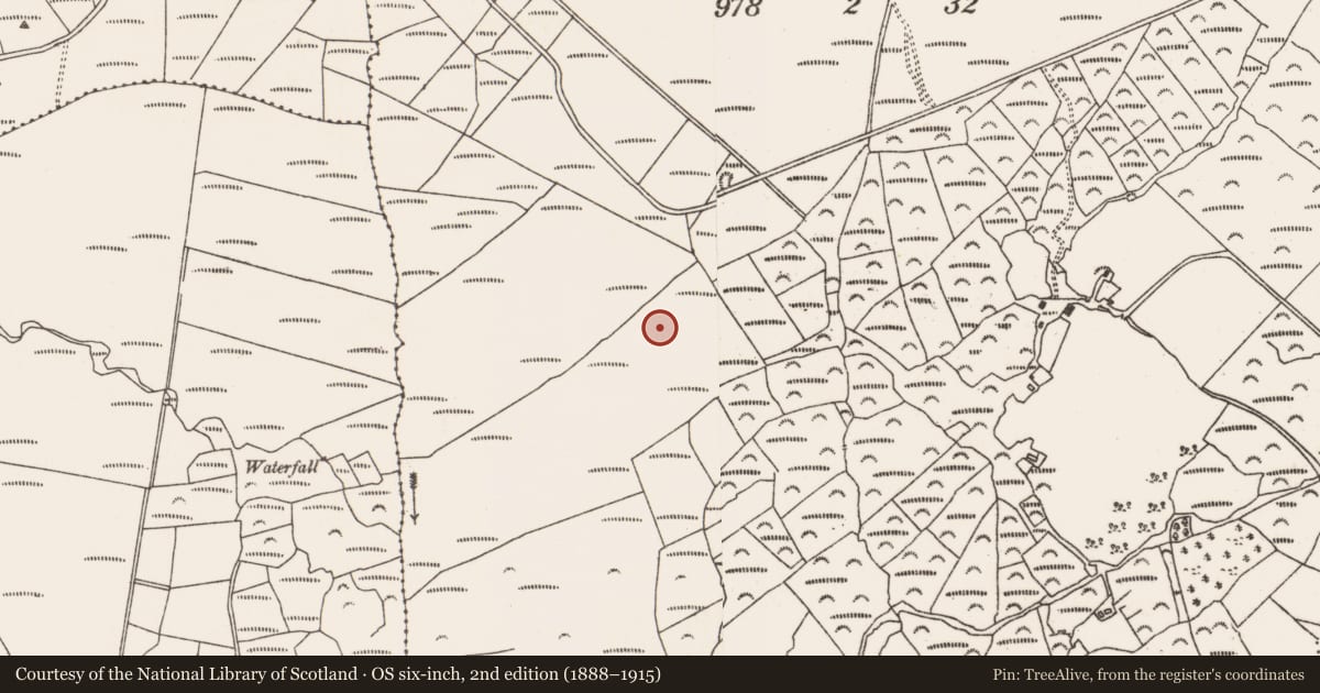 Ordnance Survey six-inch map, 2nd edition (1888–1915) covering the location of Cairn - unclassified, Fanahy, County Cork, with a pin at the register's coordinates