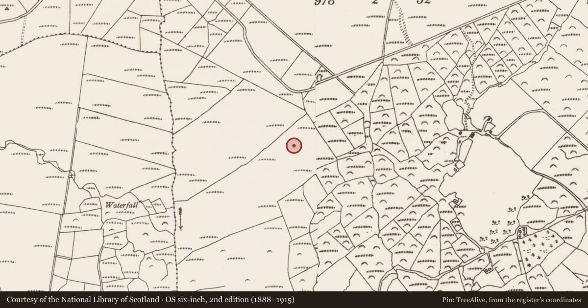 Ordnance Survey six-inch map, 2nd edition (1888–1915) covering the location of Cairn - unclassified, Fanahy, County Cork, with a pin at the register's coordinates