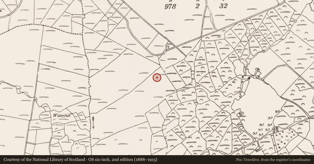 Ordnance Survey six-inch map, 2nd edition (1888–1915) covering the location of Cairn - unclassified, Fanahy, County Cork, with a pin at the register's coordinates
