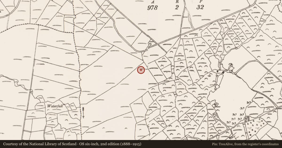 Ordnance Survey six-inch map, 2nd edition (1888–1915) covering the location of Cairn - unclassified, Fanahy, County Cork, with a pin at the register's coordinates