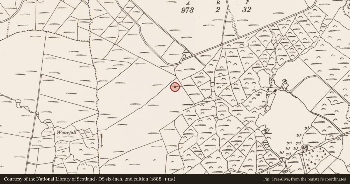 Ordnance Survey six-inch map, 2nd edition (1888–1915) covering the location of Cairn - unclassified, Fanahy, County Cork, with a pin at the register's coordinates