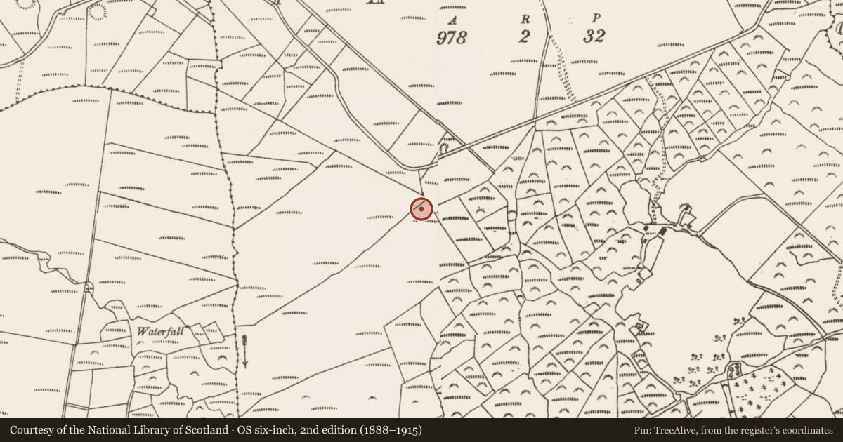 Ordnance Survey six-inch map, 2nd edition (1888–1915) covering the location of Cairn - unclassified, Fanahy, County Cork, with a pin at the register's coordinates