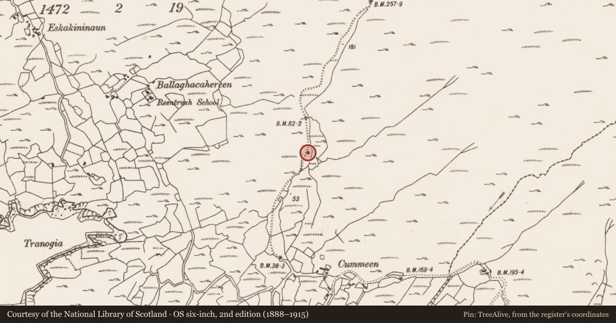 Ordnance Survey six-inch map, 2nd edition (1888–1915) covering the location of Fulacht fia, Reentrusk, County Cork, with a pin at the register's coordinates