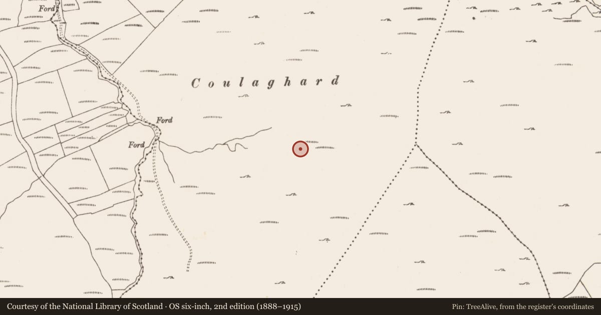 Ordnance Survey six-inch map, 2nd edition (1888–1915) covering the location of Hut site, Commons West, County Cork, with a pin at the register's coordinates