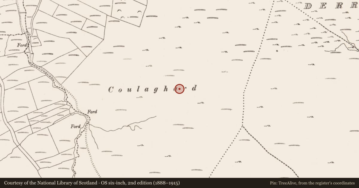 Ordnance Survey six-inch map, 2nd edition (1888–1915) covering the location of Field boundary, Commons West, County Cork, with a pin at the register's coordinates