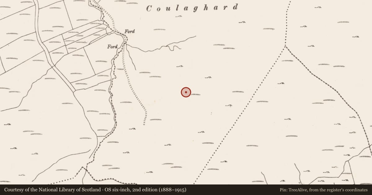 Ordnance Survey six-inch map, 2nd edition (1888–1915) covering the location of Road - road/trackway, Commons West, County Cork, with a pin at the register's coordinates