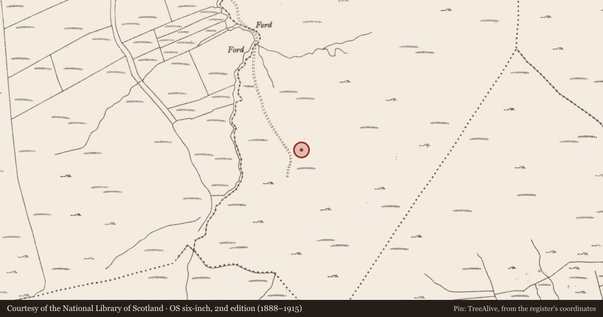 Ordnance Survey six-inch map, 2nd edition (1888–1915) covering the location of Hut site, Commons West, County Cork, with a pin at the register's coordinates