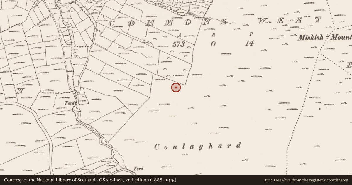 Ordnance Survey six-inch map, 2nd edition (1888–1915) covering the location of Field boundary, Commons West, County Cork, with a pin at the register's coordinates