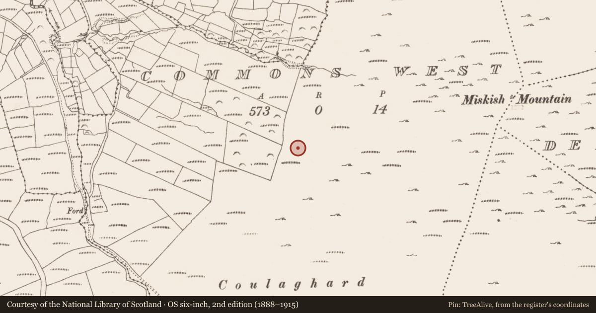 Ordnance Survey six-inch map, 2nd edition (1888–1915) covering the location of Fulacht fia, Commons West, County Cork, with a pin at the register's coordinates