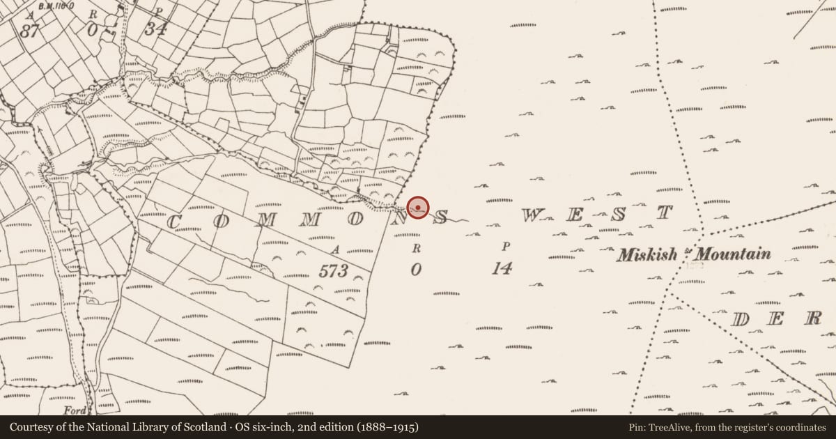 Ordnance Survey six-inch map, 2nd edition (1888–1915) covering the location of Field boundary, Commons West, County Cork, with a pin at the register's coordinates