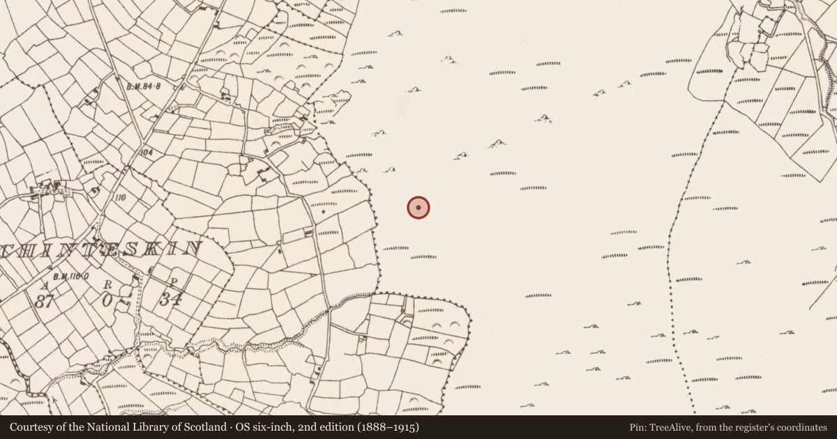 Ordnance Survey six-inch map, 2nd edition (1888–1915) covering the location of Field boundary, Commons West, County Cork, with a pin at the register's coordinates