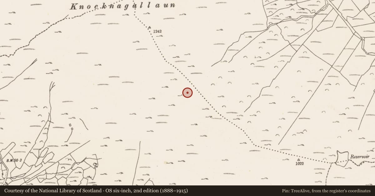 Ordnance Survey six-inch map, 2nd edition (1888–1915) covering the location of Megalithic tomb - wedge tomb, Allihies, County Cork, with a pin at the register's coordinates