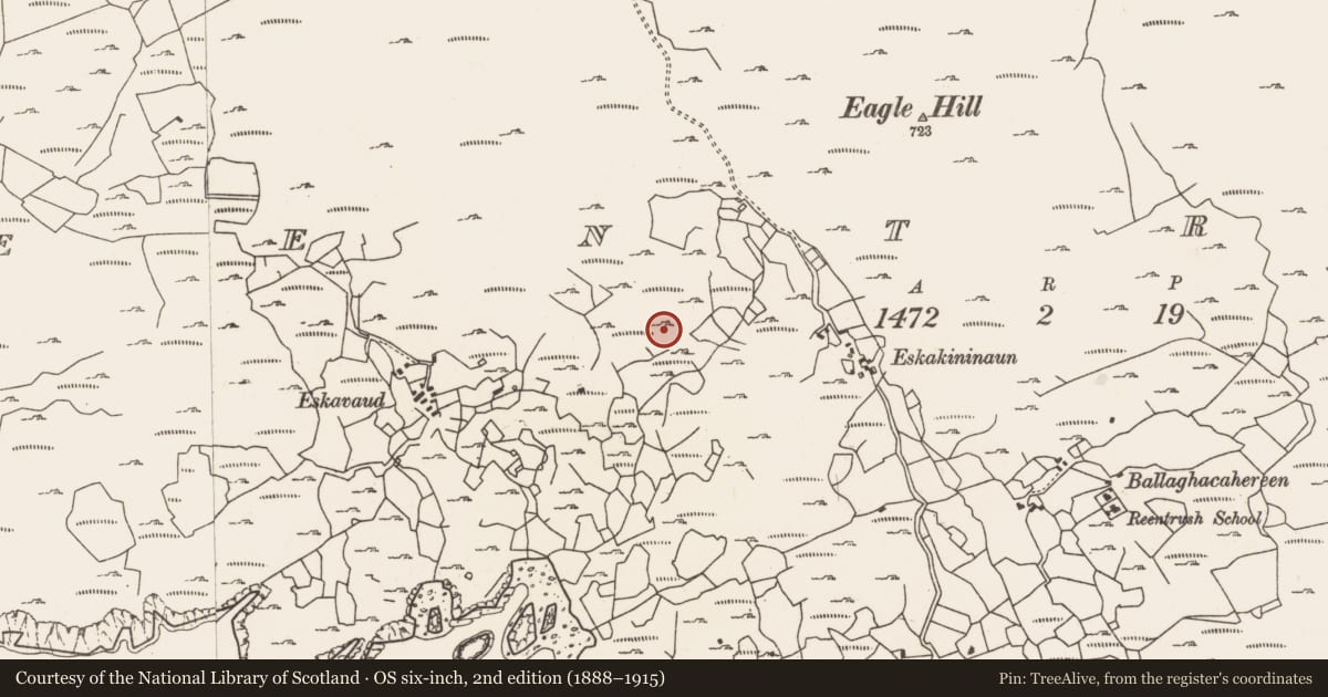 Ordnance Survey six-inch map, 2nd edition (1888–1915) covering the location of Mine - copper, Reentrusk, County Cork, with a pin at the register's coordinates