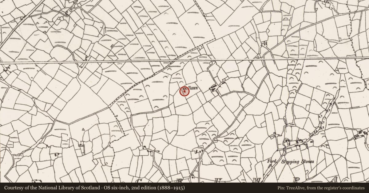 Ordnance Survey six-inch map, 2nd edition (1888–1915) covering the location of Standing stone, Crumpane, County Cork, with a pin at the register's coordinates