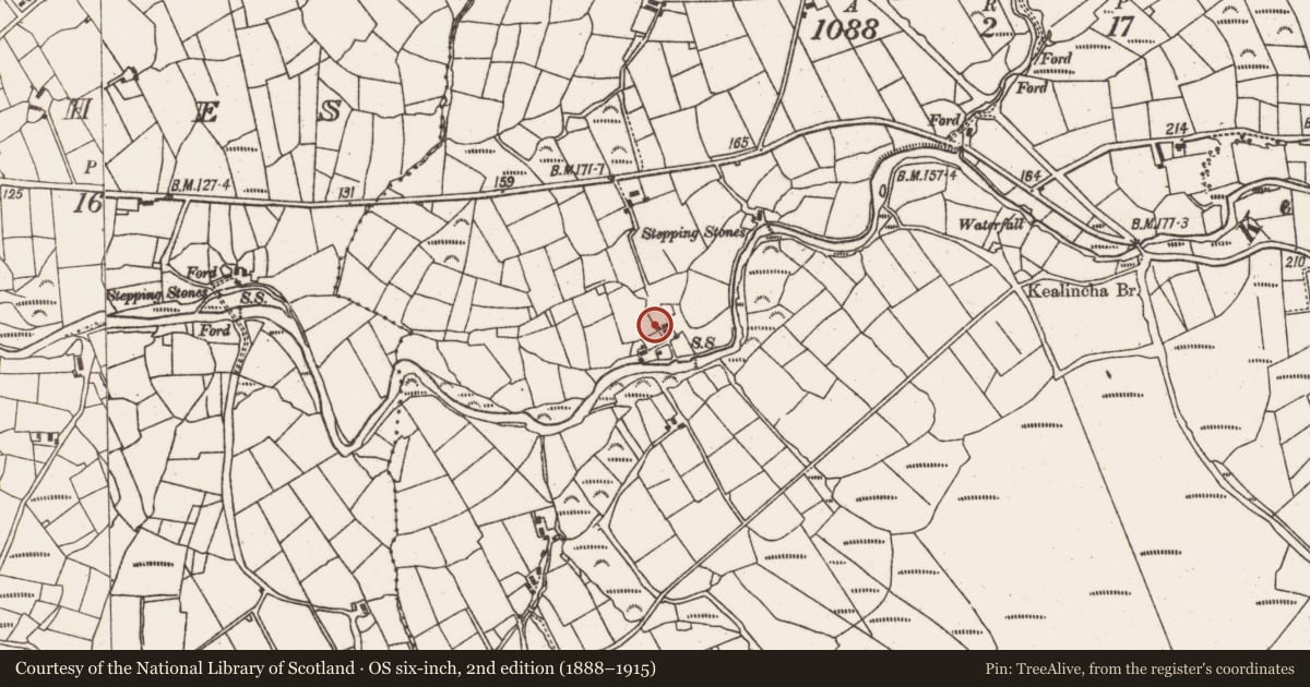 Ordnance Survey six-inch map, 2nd edition (1888–1915) covering the location of Standing stone - pair, Crumpane, County Cork, with a pin at the register's coordinates