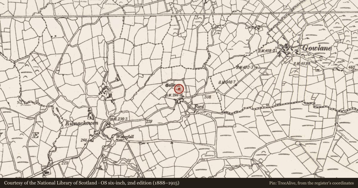 Ordnance Survey six-inch map, 2nd edition (1888–1915) covering the location of Standing stone, Kilmackowen, County Cork, with a pin at the register's coordinates