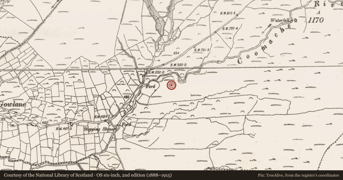 Ordnance Survey six-inch map, 2nd edition (1888–1915) covering the location of Ringfort - rath, Gowlane, County Cork, with a pin at the register's coordinates