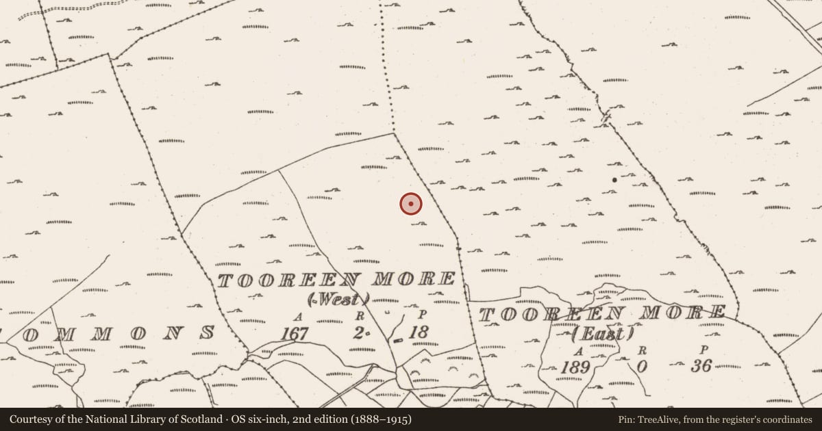Ordnance Survey six-inch map, 2nd edition (1888–1915) covering the location of Cairn - unclassified, Tooreen More (West), County Cork, with a pin at the register's coordinates
