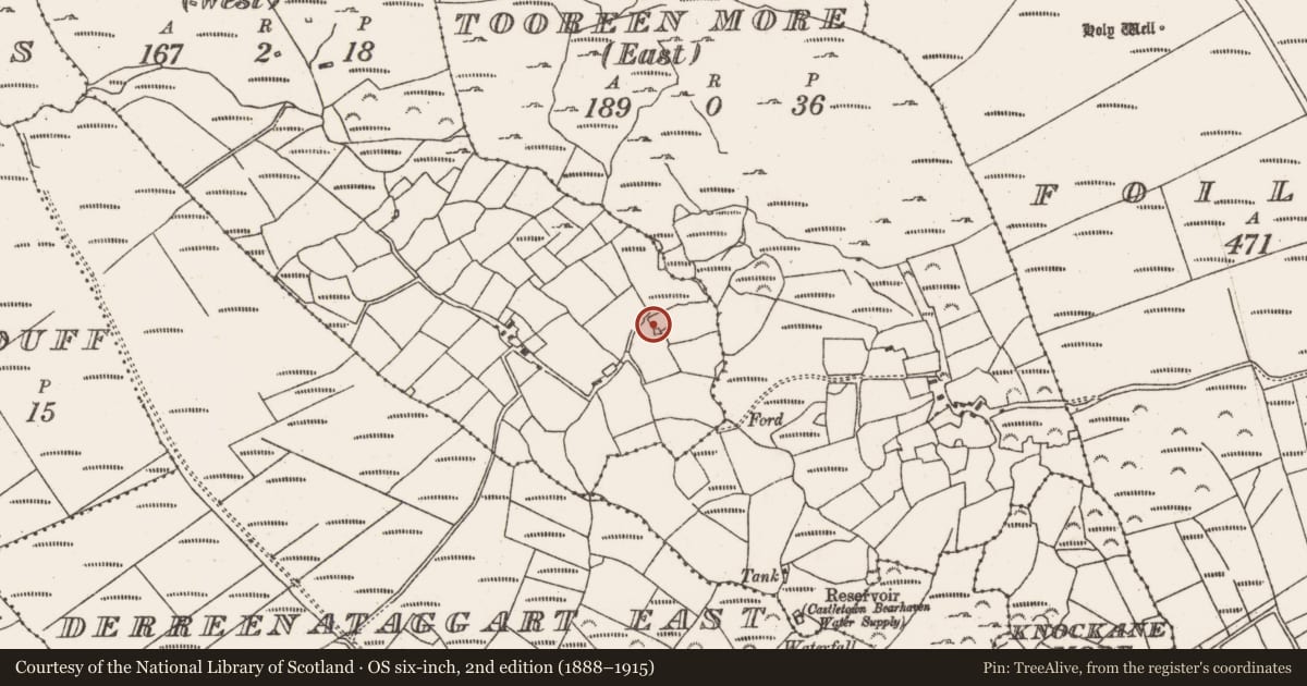 Ordnance Survey six-inch map, 2nd edition (1888–1915) covering the location of Ringfort - cashel, Tooreen More (West), County Cork, with a pin at the register's coordinates