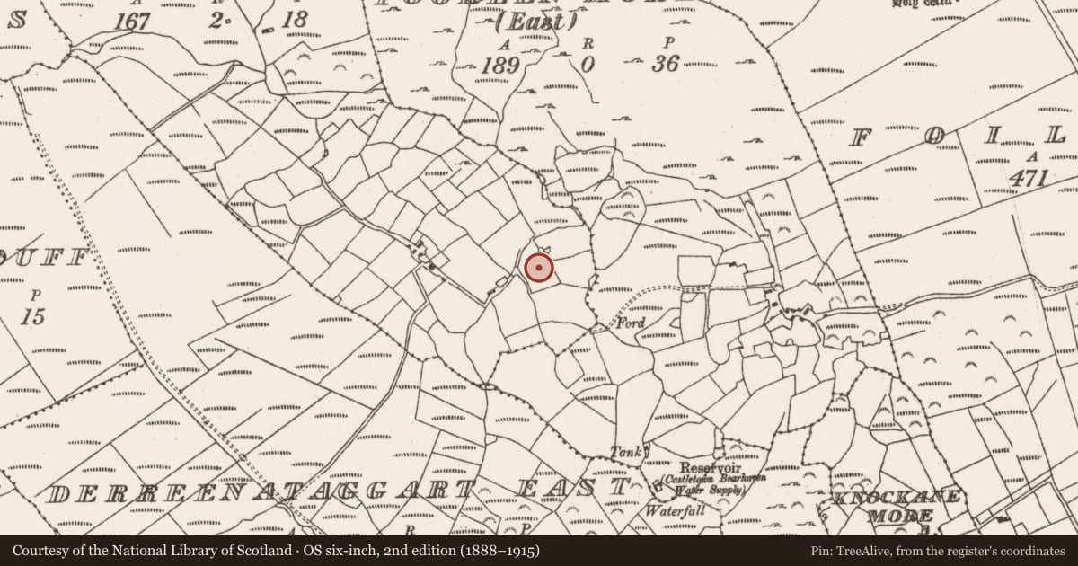 Ordnance Survey six-inch map, 2nd edition (1888–1915) covering the location of Souterrain, Tooreen More (West), County Cork, with a pin at the register's coordinates