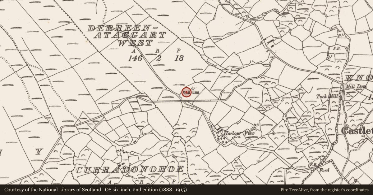 Ordnance Survey six-inch map, 2nd edition (1888–1915) covering the location of Burnt spread, Derreenataggart West, County Cork, with a pin at the register's coordinates