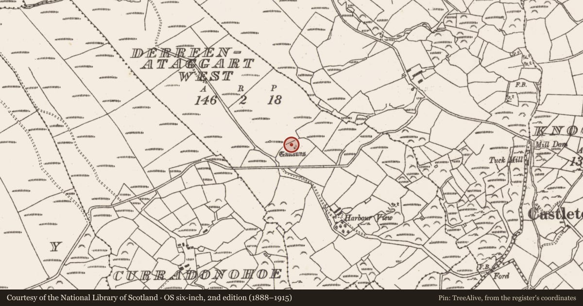 Ordnance Survey six-inch map, 2nd edition (1888–1915) covering the location of Stone circle - multiple-stone, Derreenataggart West, County Cork, with a pin at the register's coordinates