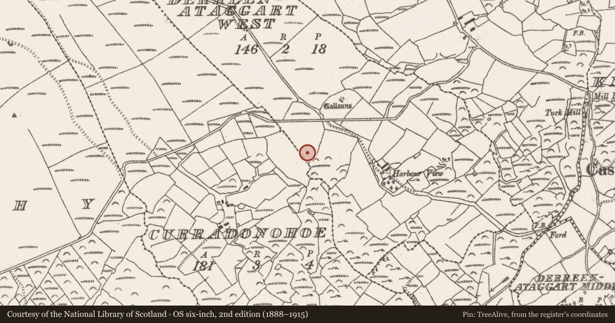 Ordnance Survey six-inch map, 2nd edition (1888–1915) covering the location of Fulacht fia, Derreenataggart West, County Cork, with a pin at the register's coordinates