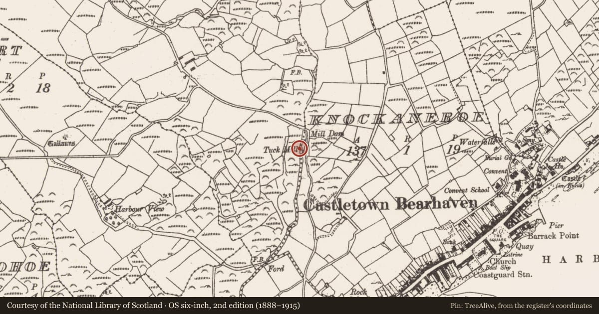 Ordnance Survey six-inch map, 2nd edition (1888–1915) covering the location of Mill - fulling, Knockaneroe, County Cork, with a pin at the register's coordinates