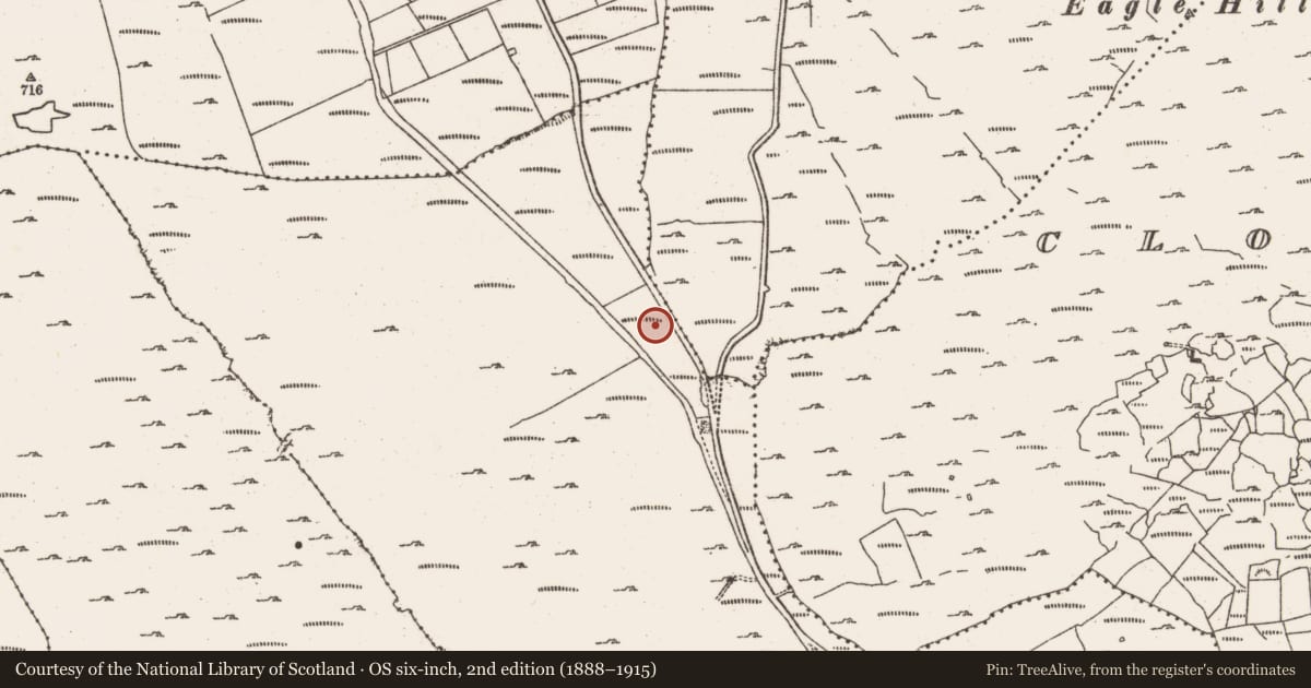 Ordnance Survey six-inch map, 2nd edition (1888–1915) covering the location of Mound, Foildarrig, County Cork, with a pin at the register's coordinates