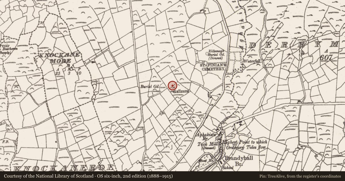 Ordnance Survey six-inch map, 2nd edition (1888–1915) covering the location of Stone row, Foildarrig, County Cork, with a pin at the register's coordinates