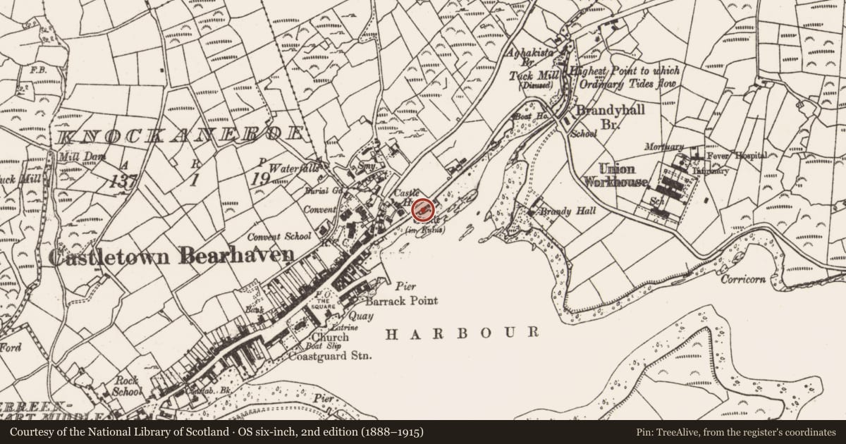 Ordnance Survey six-inch map, 2nd edition (1888–1915) covering the location of Castle - unclassified, Foildarrig, County Cork, with a pin at the register's coordinates