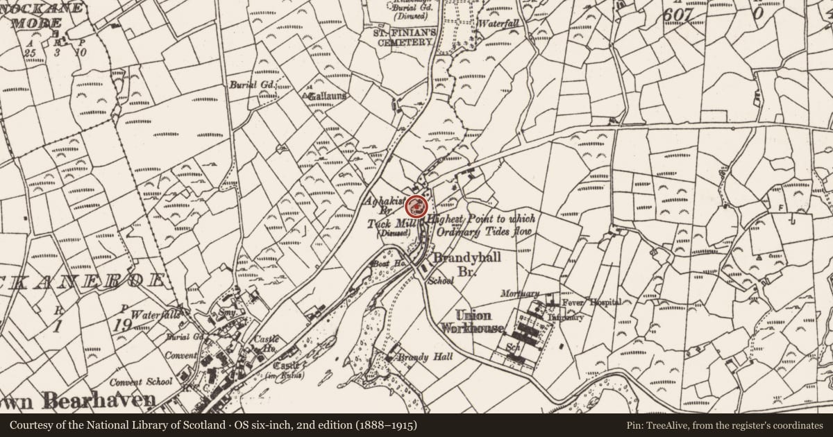 Ordnance Survey six-inch map, 2nd edition (1888–1915) covering the location of Mill - fulling, Foildarrig, County Cork, with a pin at the register's coordinates
