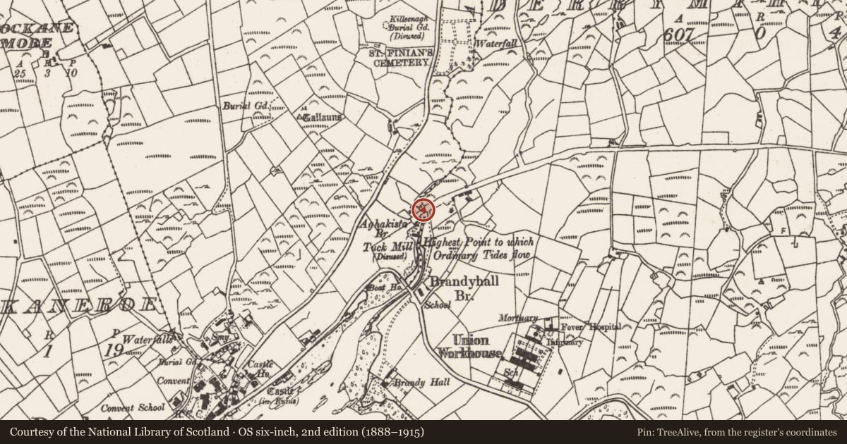 Ordnance Survey six-inch map, 2nd edition (1888–1915) covering the location of Bridge, Derrymihin West, Foildarrig, County Cork, with a pin at the register's coordinates