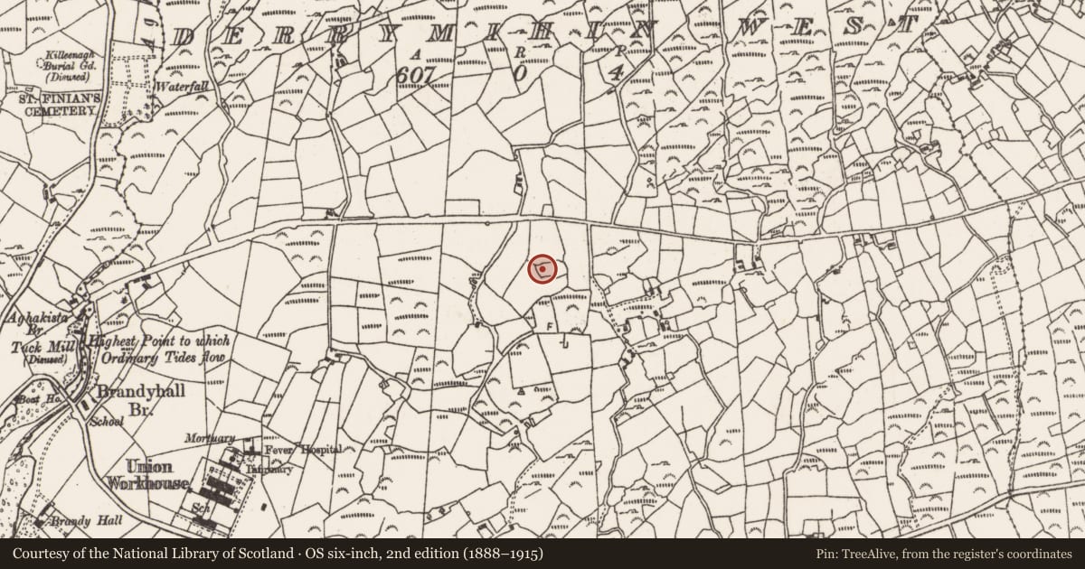 Ordnance Survey six-inch map, 2nd edition (1888–1915) covering the location of Standing stone, Derrymihin West, County Cork, with a pin at the register's coordinates
