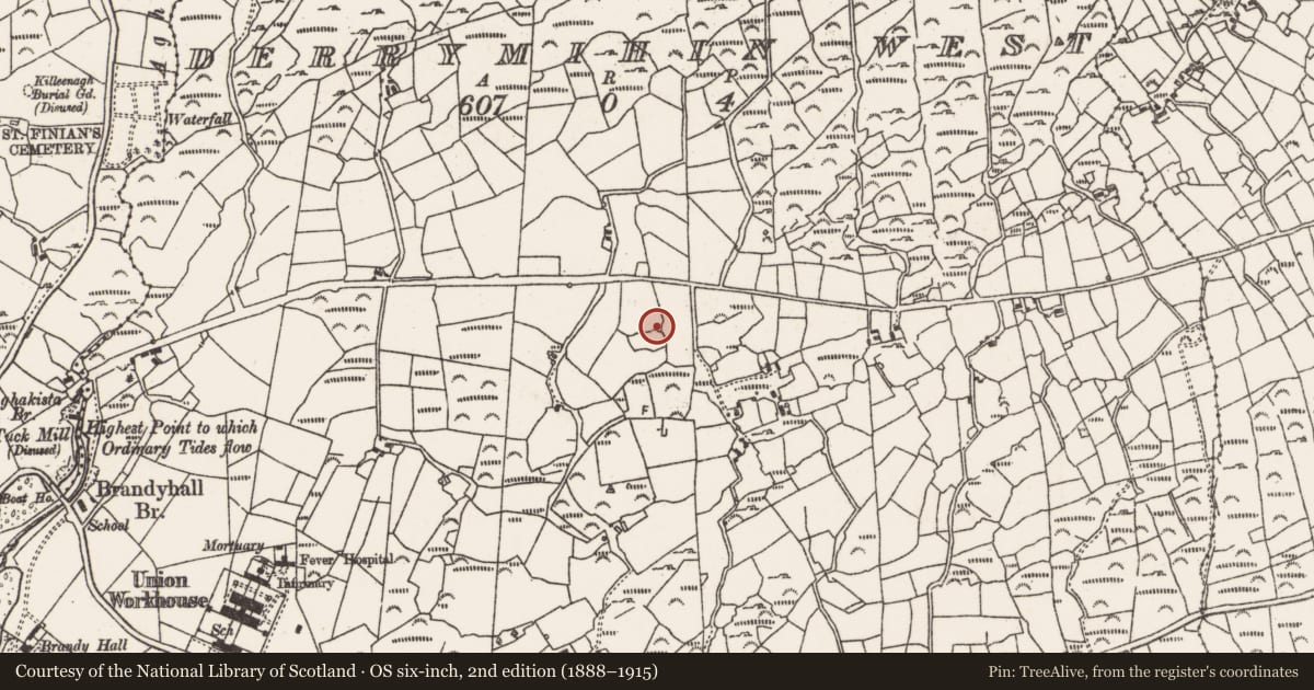 Ordnance Survey six-inch map, 2nd edition (1888–1915) covering the location of Boulder-burial, Derrymihin West, County Cork, with a pin at the register's coordinates