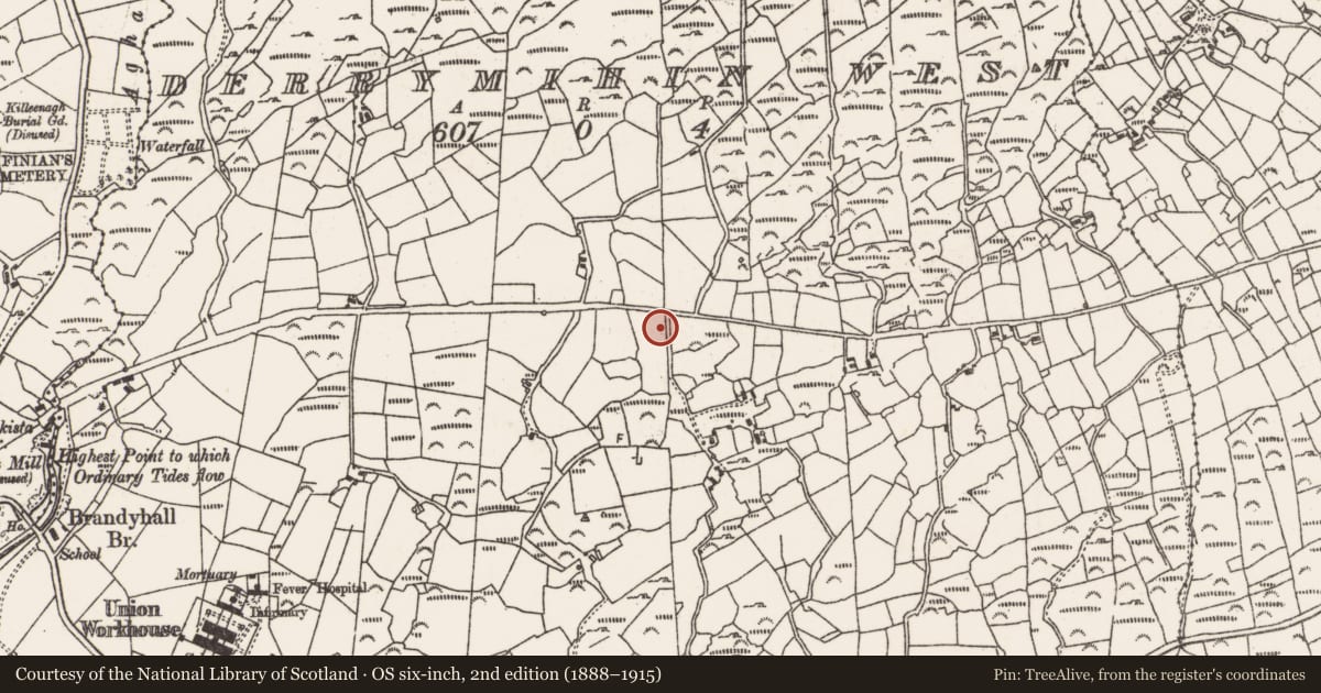 Ordnance Survey six-inch map, 2nd edition (1888–1915) covering the location of Boulder-burial, Derrymihin West, County Cork, with a pin at the register's coordinates